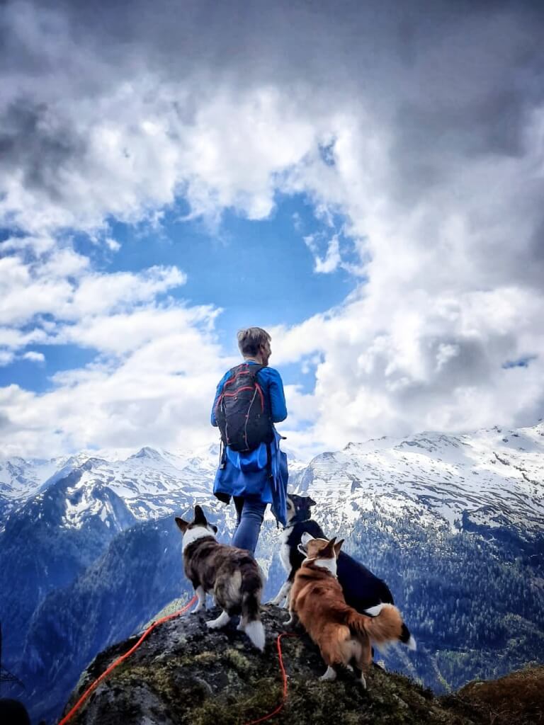 Beate's Hundeglück - Hundetagesbetreuung in Taxenbach